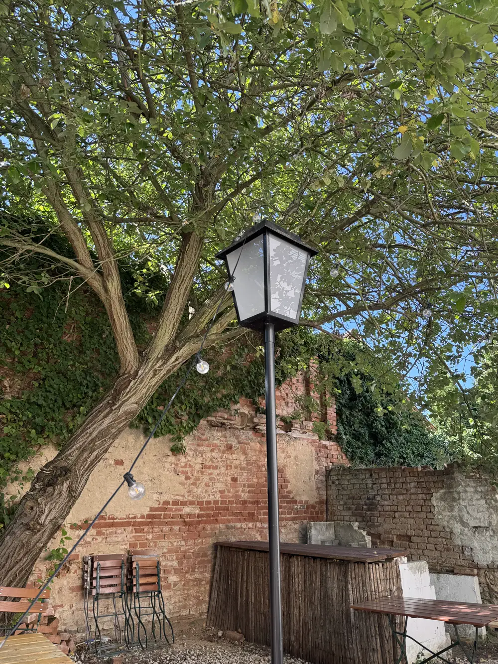 Alte Ziegelmauer mit Efeu und Lichterkette im Baum über dem Biergarten des Hotel Kastanienbaum in Herzogenaurach